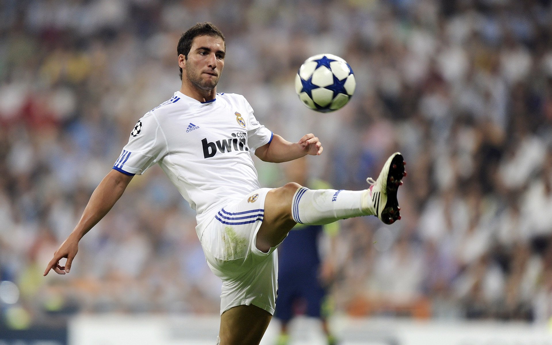 F1圣保罗大奖赛即将开幕：维斯塔潘卫冕战再启，勒克莱尔喜迎双喜冲冠！